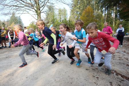 TEK PO RAKOVEM ŠKOCJANU 03 FOTO LJUBO VUKELIČ
